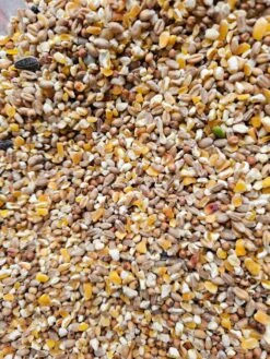 Poeljengraan 20kg - Kippen Voeder - Merkloos -Birdshop Christina 20240405 143237