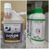 Daflor 3in1 250ml + Giachol Green 1L(Daflor 3in1 250ml Giachol Green 1l)