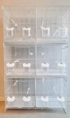 Witte Kweek Kooi Stapelbaar 60x25x35 -Birdshop Christina FB IMG 1613016817775