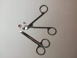 Vogel Ring Schaartje ( Fauna )(Ring Schaartje) -Birdshop Christina FB IMG 1677925981607