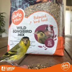 Sijs & Distelvinken Speciaal Mix 15kg Duvo+(Sijs Distelvink Special Mix 15kg 1) -Birdshop Christina FB IMG 1687458170242