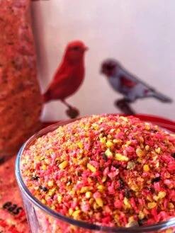 Easseym Eivoer Rood 1kg(Easseym Eivoer Rode Kanaries 1kg) -Birdshop Christina FB IMG 1690979263194