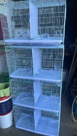 Witte Draadkooien Kweekkooien 60 X 28,5 X 40 Cm -Birdshop Christina Messenger creation F2724498 32D8 4794 8FDF AE865C2EDF29