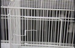 Witte Kweek Kooi Stapelbaar 60x25x35 -Birdshop Christina Screenshot 20231114 073926 Chrome