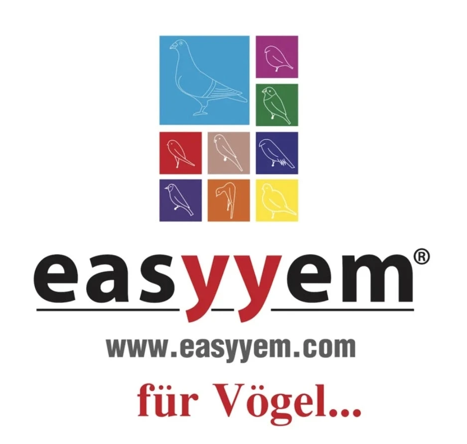 Easseym Eivoer Kanaries 10kg(10kh) 3 Easseym Eivoer Kanaries 10kg(10kh) - Afbeelding 3