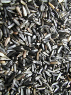 Negerzaad 5kg(Negerzaad 5kg)