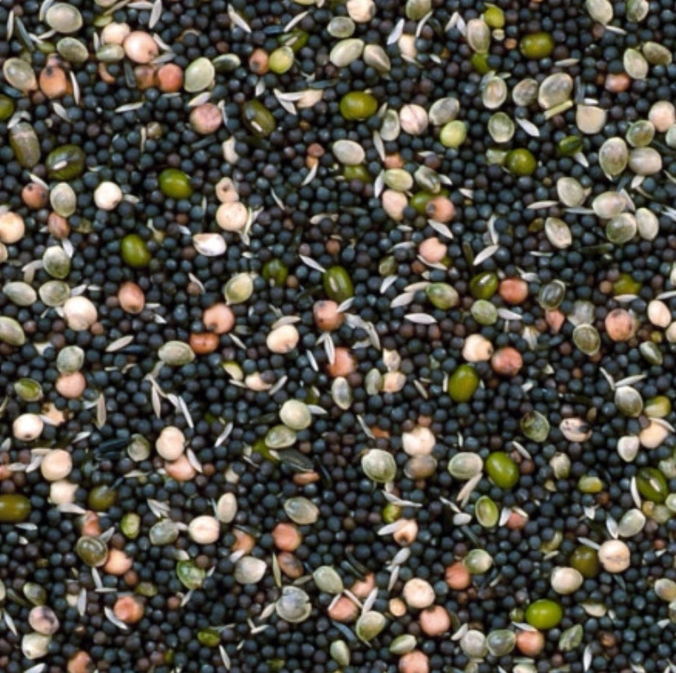 Kiemzaad Mix 20kg Duvo+(Duvo Kiemzaad Mix 20kg) 2 Kiemzaad Mix 20kg Duvo+(Duvo Kiemzaad Mix 20kg) - Afbeelding 2