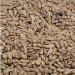 Duvo+ Gepelde Zonnebloem Pitten 25kg(Duvo Gepelde Zonnebloem Pitten 25kg) -Birdshop Christina Screenshot 20211026 105748 Chrome