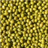 Katjang Idjoe ( Groene Mungbonen ) 5kg(Katjang Idjou Groene Mungbonen)