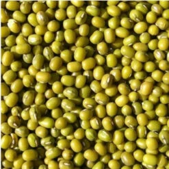 Katjang Idjoe ( Groene Mungbonen ) 5kg(Katjang Idjou Groene Mungbonen)