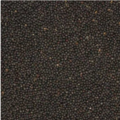 Koolzaad 20kg | Duvo+(Koolzaad 20kg Duvo) -Birdshop Christina Screenshot 20211026 113401 Chrome