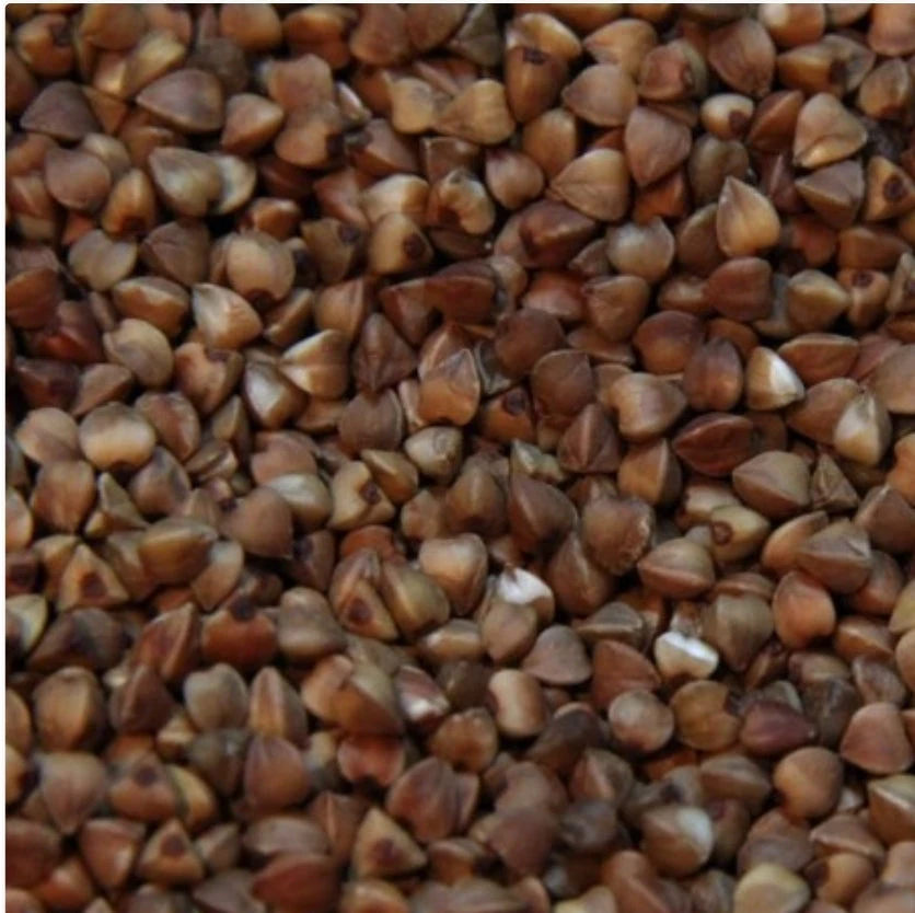 Boekweit 20kg - Versele Laga(Versele Laga Boekweit 20kg) 1 Boekweit 20kg - Versele Laga(Versele Laga Boekweit 20kg)