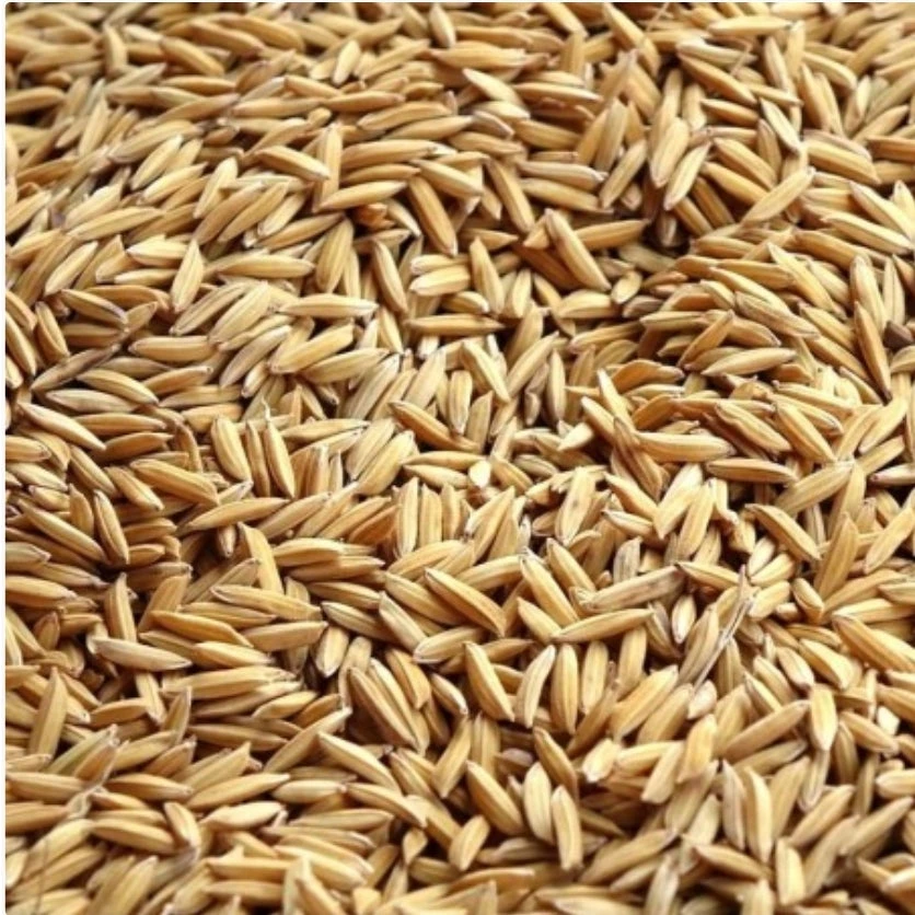 Paddy Rijst Duiven 20kg | Duvo+(Paddy Rijst Duiven 20kg Duvo) 1 Paddy Rijst Duiven 20kg | Duvo+(Paddy Rijst Duiven 20kg Duvo)