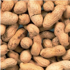 Ongeschilde Pinda's 10kg | Duvo+(Ongeschilde Pindas 10kg Duvo) -Birdshop Christina Screenshot 20211026 223523 Chrome