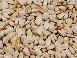 Versele Laga - Witte Zonnebloem Pitten 12,5 Kg(Versele Laga Witte Zonnebloem Pitten 12 5 Kg) -Birdshop Christina Screenshot 20211104 180857 bolcom