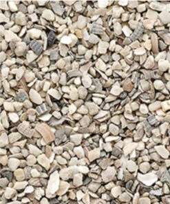 Versele Laga - Oesterschelpen N° 3 Grof 25kg(Versele Laga Oesterschelpen N 3 Grof 25kg)