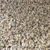 Paddyrijst 1kg(Paddy Rijst 1kg)