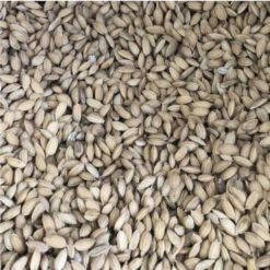 Paddyrijst 1kg(Paddy Rijst 1kg)