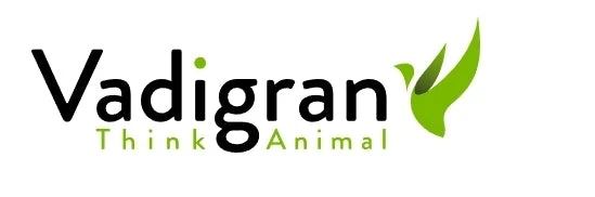 Gezondheidszaden Vadigran 14kg(Gezondheidszaden Vadigran 14kg) 3 Gezondheidszaden Vadigran 14kg(Gezondheidszaden Vadigran 14kg) - Afbeelding 3