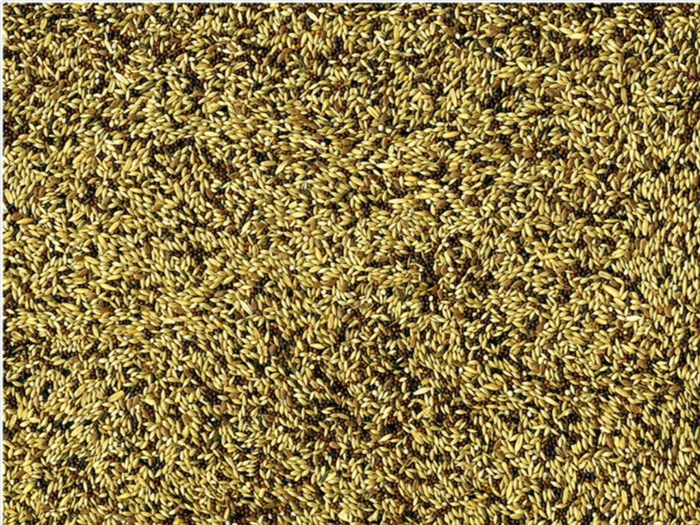 Vadigran Kanarie Original 4kg(Vadigran Kanarie Original 4kg) 2 Vadigran Kanarie Original 4kg(Vadigran Kanarie Original 4kg) - Afbeelding 2