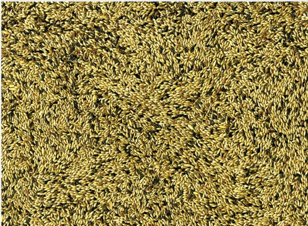 VADIGRAN KANARIES POSTURE & SHOW 20 KG(Vadigran Kanaries Posture Show 20 Kg) 2 VADIGRAN KANARIES POSTURE & SHOW 20 KG(Vadigran Kanaries Posture Show 20 Kg) - Afbeelding 2