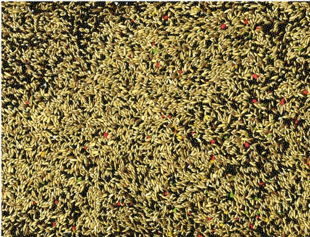 VADIGRAN KANARIES COLOR 20 KG(Vadigran Kanaries Color 20 Kg) 2 VADIGRAN KANARIES COLOR 20 KG(Vadigran Kanaries Color 20 Kg) - Afbeelding 2