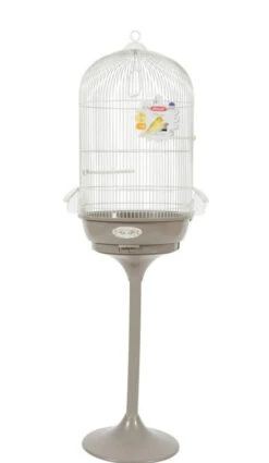 CAGE ARABESQUE LÉONIE 50 OP VOET. MOL. AFMETINGEN: Ø 49,5 CM X 140 CM. VOOR VOGELS. 11 CAGE ARABESQUE LÉONIE 50 OP VOET. MOL. AFMETINGEN: Ø 49,5 CM X 140 CM. VOOR VOGELS. -Birdshop Christina Screenshot 20211204 151017 Chrome