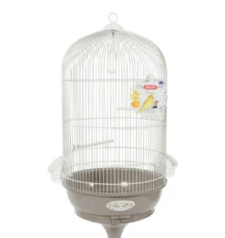 CAGE ARABESQUE LÉONIE 50 OP VOET. MOL. AFMETINGEN: Ø 49,5 CM X 140 CM. VOOR VOGELS. 9 CAGE ARABESQUE LÉONIE 50 OP VOET. MOL. AFMETINGEN: Ø 49,5 CM X 140 CM. VOOR VOGELS. -Birdshop Christina Screenshot 20211204 151033 Chrome