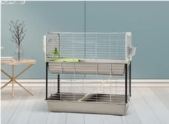 KNAAGDIERENKOOI CAESAR3DUBBLL KNOCKDOWN100X50X97CM -Birdshop Christina Screenshot 20211204 161759 Chrome