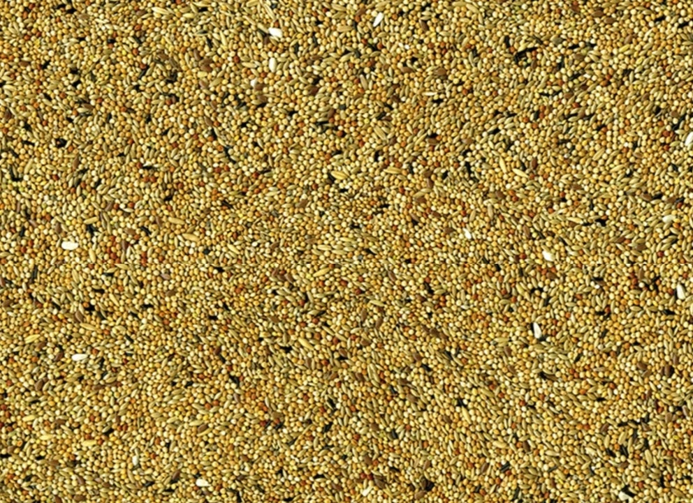 Vadigran Parkieten 4kg(Vadigran Parkieten 4kg) 2 Vadigran Parkieten 4kg(Vadigran Parkieten 4kg) - Afbeelding 2