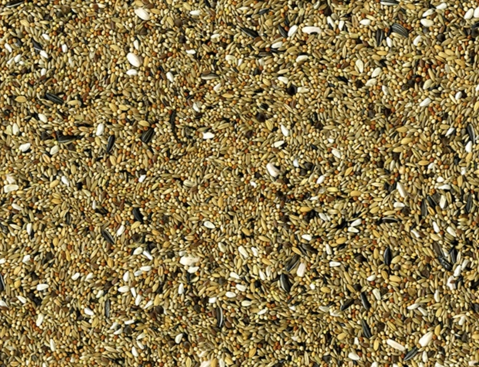 Vadigran Grote Parkieten Original 20kg(Vadigran Grote Parkieten Original 20kg) 2 Vadigran Grote Parkieten Original 20kg(Vadigran Grote Parkieten Original 20kg) - Afbeelding 2