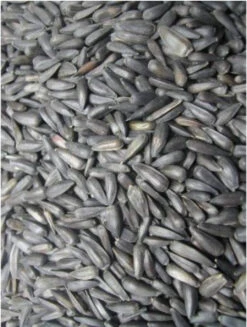 Micro Zwarte Zonnebloempitten 25kg - Grizo(Zwarte Zonnebloem Micro Vogels Van Het Land 25kg Grizo)