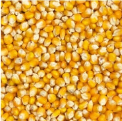 Franse Maïs 20kg Farm-X(Franse Mais 20kg Grizo)