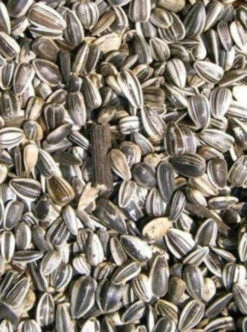 Zonnebloem Striated Large Marica / Toma 15kg - Grizo(Zonnebloem Striated Large Marica Toma 15kg Grizo)