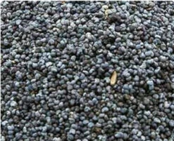 Blauwmaanzaad 800 Gram(Blauw Maanzaad 1kg Bird X)