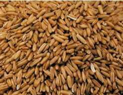 Haver Gepeld 4kg - Vadigran(Vadigran Haver Gepeld 4kg)