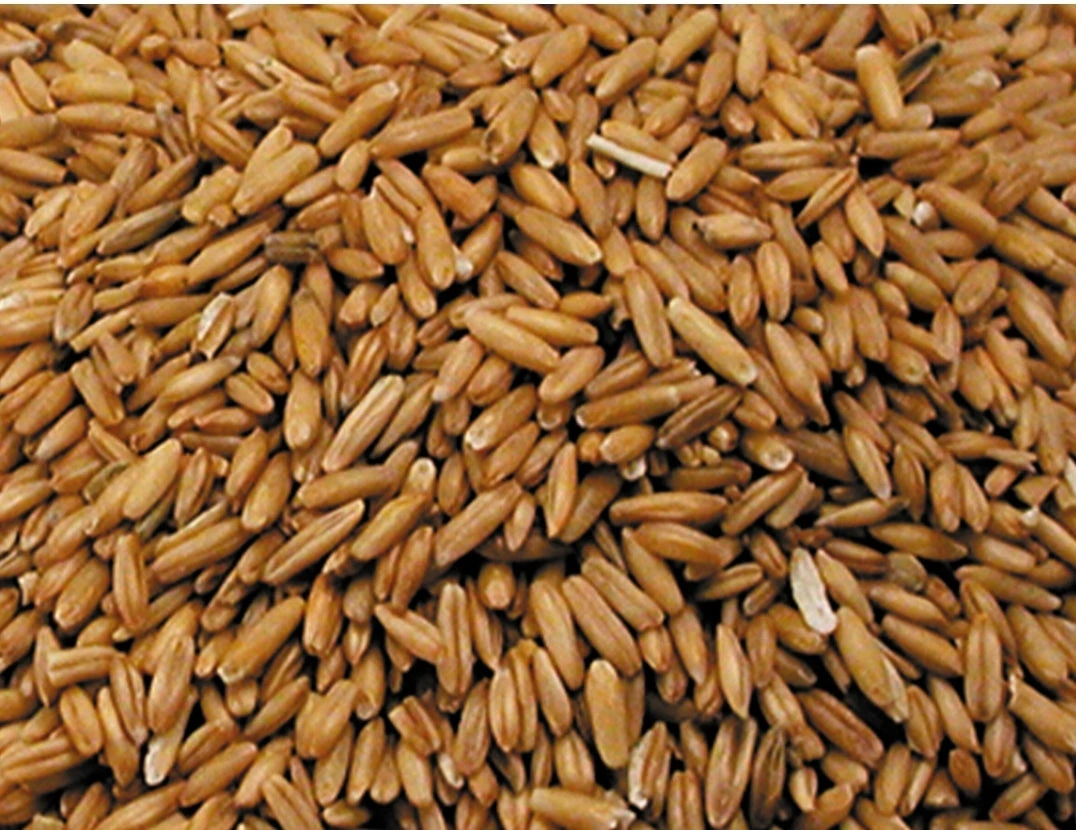 Haver Gepeld 4kg - Vadigran(Vadigran Haver Gepeld 4kg) 1 Haver Gepeld 4kg - Vadigran(Vadigran Haver Gepeld 4kg)