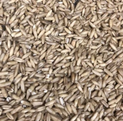 Gepelde Haver 25kg | Duvo+(Gepelde Haver 25kg Duvo) -Birdshop Christina Screenshot 20211213 114738 Chrome