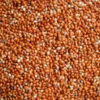 Rondzaad Rood ( Millet ) Gierst 20kg(Rondzaad Rood Millet Gierst 20kg)