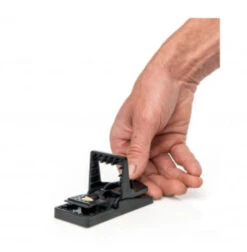 Edialux Muizenval 2 Stuks(Muizenval Plastiek) -Birdshop Christina Screenshot 20211213 205232 Chrome