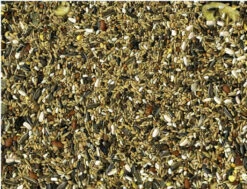 Papegaaien Tropical Condition 15 Kg - Vadigran(Vadigran Papegaaien Tropical Condition 15 Kg) 7 Papegaaien Tropical Condition 15 Kg - Vadigran(Vadigran Papegaaien Tropical Condition 15 Kg) -Birdshop Christina Screenshot 20211217 055628 Chrome