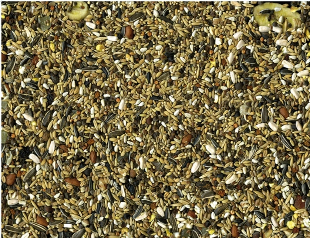 Papegaaien Tropical Condition 15 Kg - Vadigran(Vadigran Papegaaien Tropical Condition 15 Kg) 3 Papegaaien Tropical Condition 15 Kg - Vadigran(Vadigran Papegaaien Tropical Condition 15 Kg) - Afbeelding 3