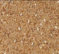Deli Nature 36 ( Gras ) Parkiet Met Extra Cardy 1kg(Kopie Van Deli Nature 36 Gras Parkiet Met Extra Cardy 1kg)