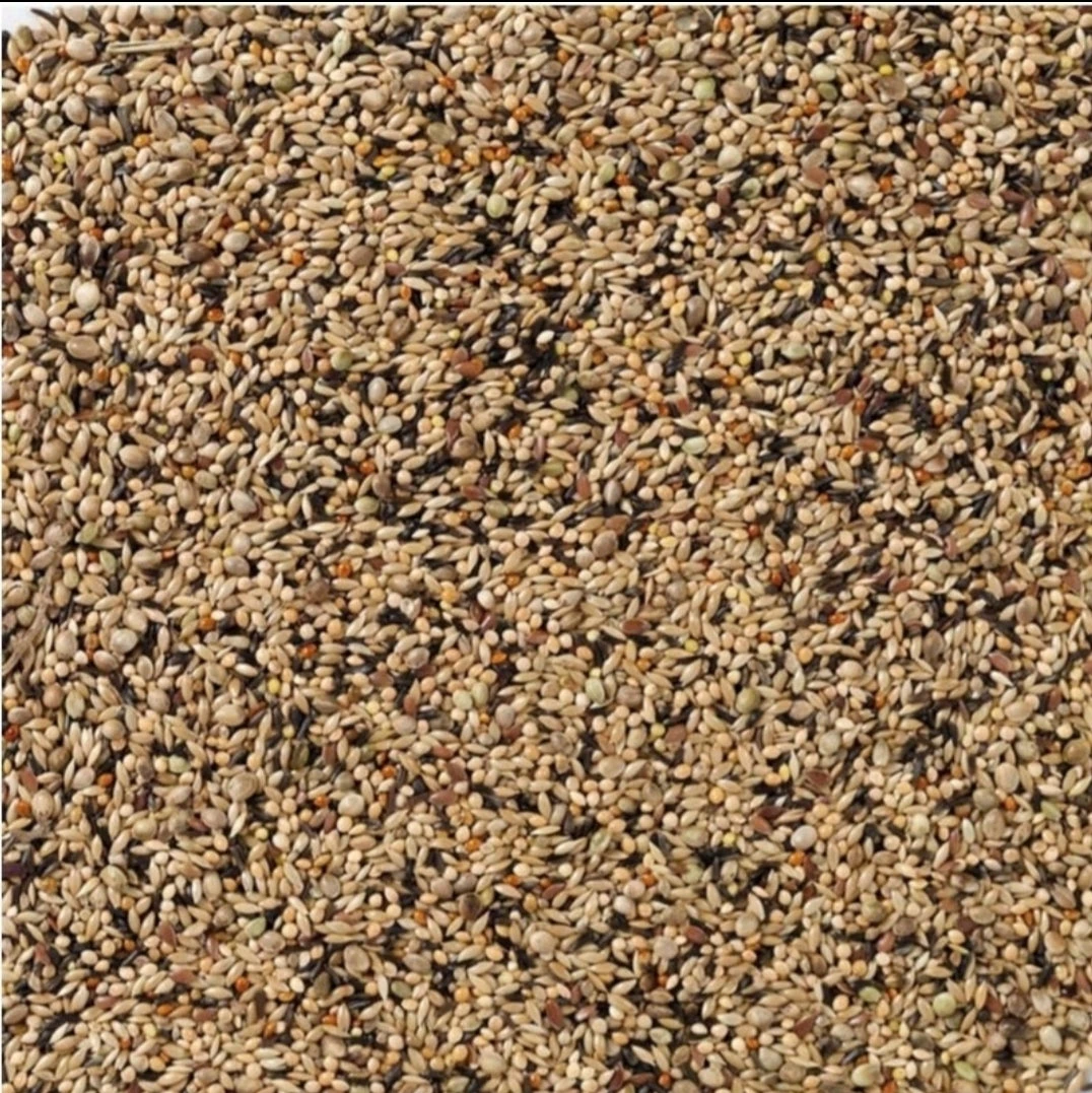 Deli Nature 70 Neophema Premium 5kg ( Zelf Ingepakt )(Nr 70 Deli Nature Neophema Premium 5kg) 1 Deli Nature 70 Neophema Premium 5kg ( Zelf Ingepakt )(Nr 70 Deli Nature Neophema Premium 5kg)