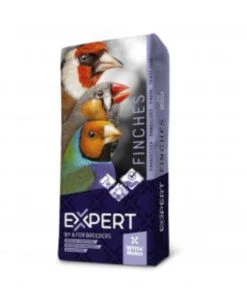 EXPERT Base Zebravinken II Kweker(Expert Base Zebravinken Ii Kweker)
