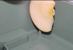 Transport Box 10x15x20cm - Moldes Ave -Birdshop Christina Screenshot 20220108 133848 Chrome