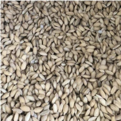 Paddyrijst 5kg(Paddy Rijst 5kg)