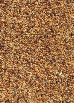 Weegbree 5kg(Weegbree 5kg)