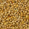 Rondzaad Geel ( Millet ) 20kg - Grizo(Gele Millet Gierst 20kg)