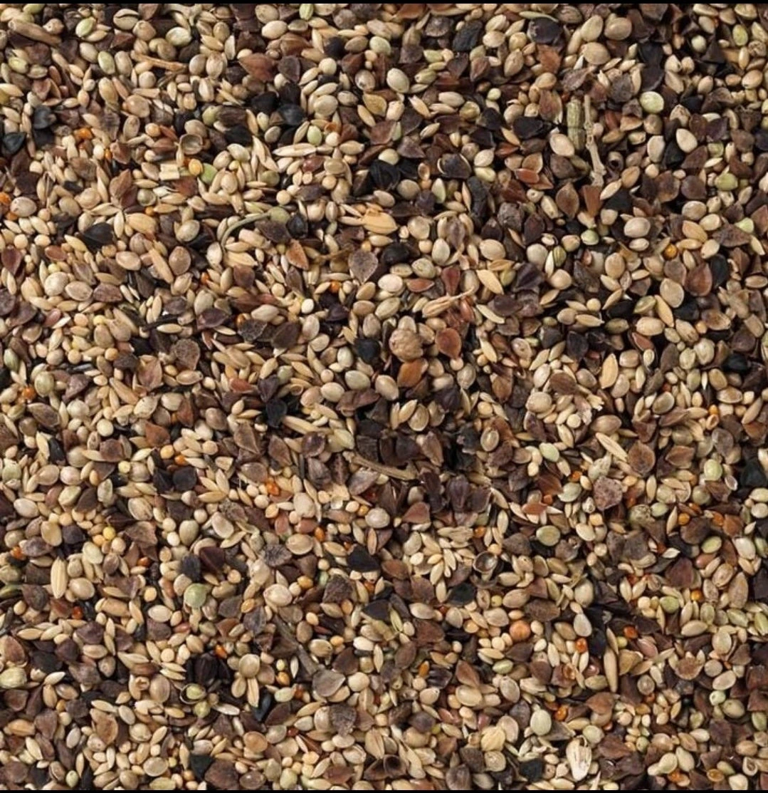 Deli Nature 71 Agaporniden Premium 2,5kg(Nr 71 Deli Nature Agaporniden Premium 2 5kg) 1 Deli Nature 71 Agaporniden Premium 2,5kg(Nr 71 Deli Nature Agaporniden Premium 2 5kg)